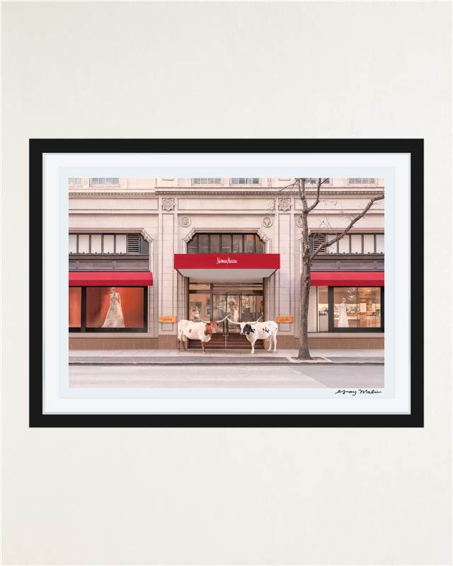 "The Longhorns, Neiman Marcus, Downtown Dallas" Framed Fine Art Photography Print